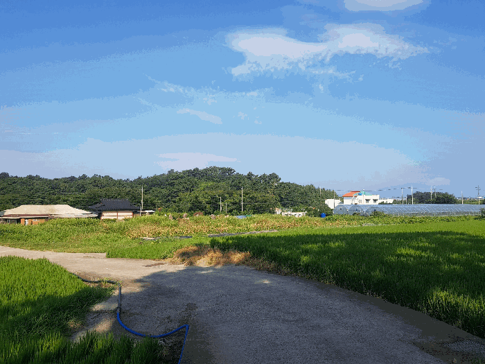 본건 전체 전경