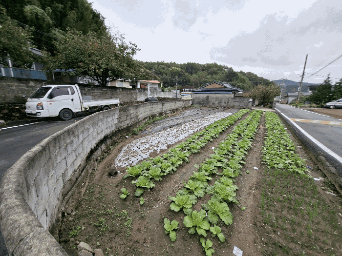 기호(8) 전상태 부분