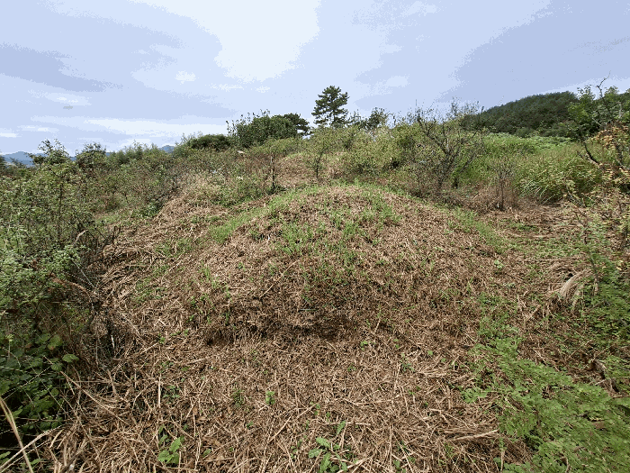 기호(1) 지상 분묘