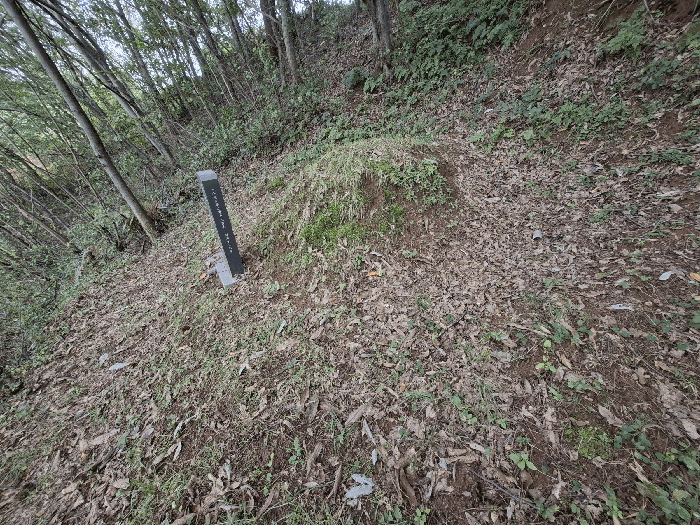 기호(10) 북측 일부와 인접 토지(목도리 477, 전)의 경계 부근 분묘
