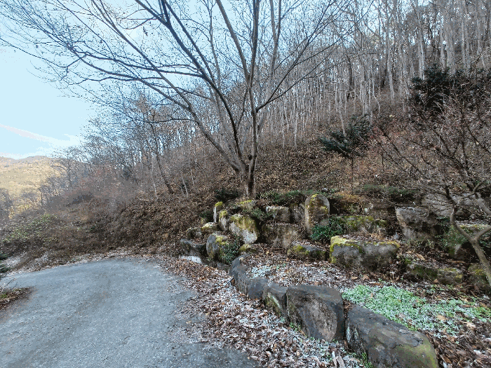 기호 8 및 지상 수목