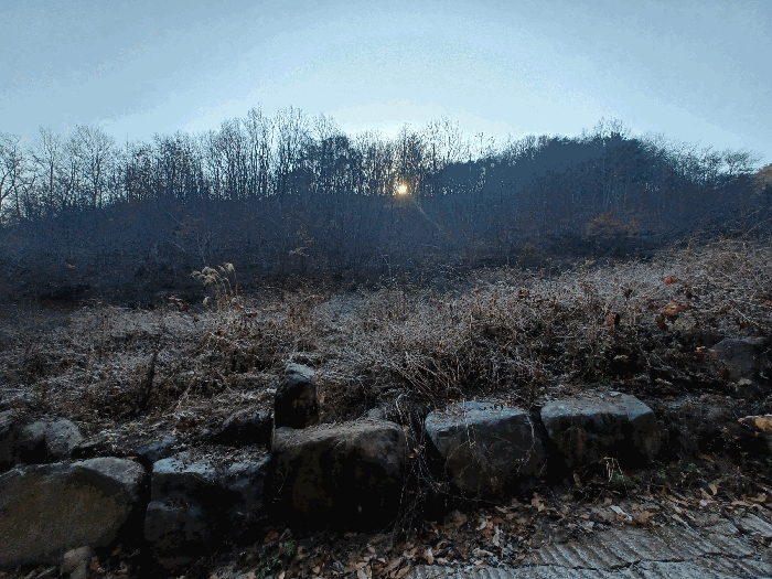 기호 6 및 기호 9