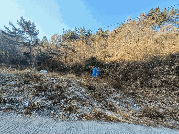 기호 7 및 지상 수목