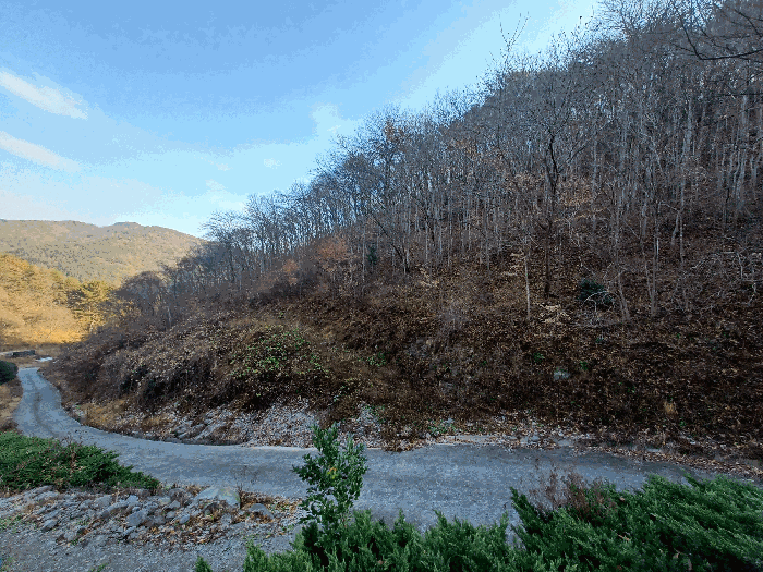 기호 8 및 지상 수목
