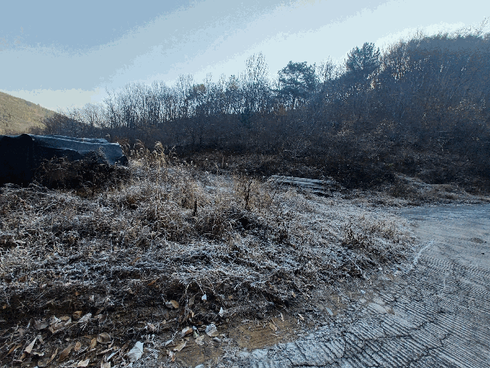 기호 9 및 지상수목