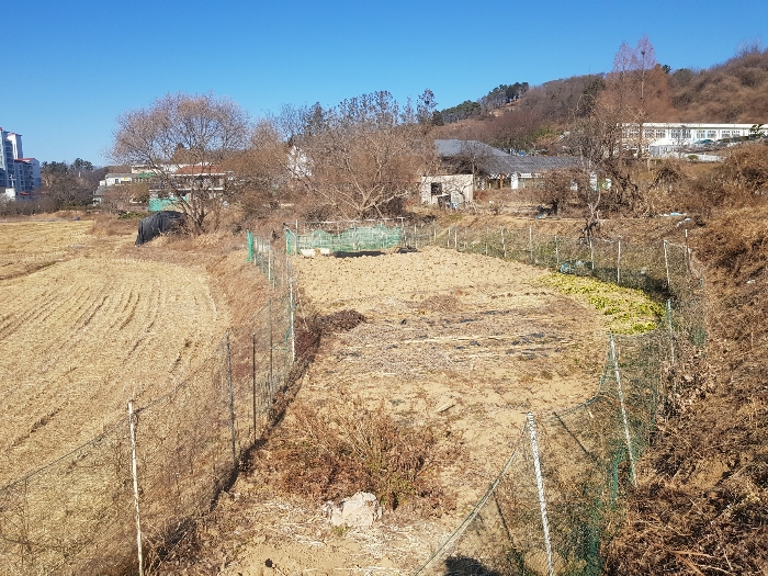 기호(1) 토지 전경