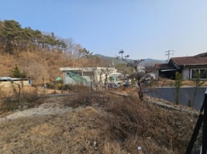 물건번호5 수목