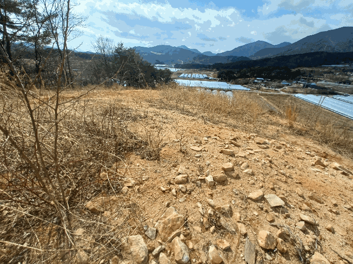 본건 및 주변전경
