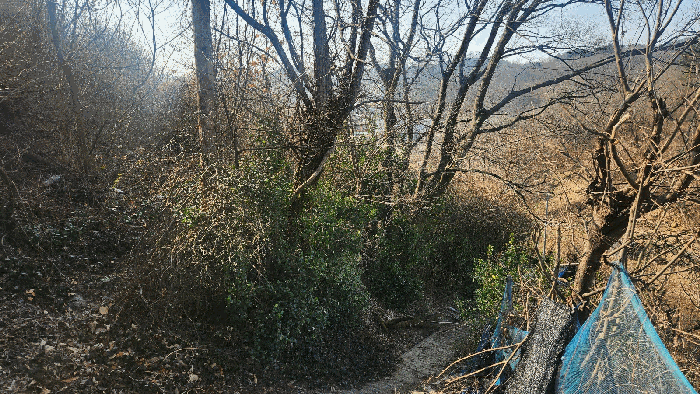 기호(1) 전경