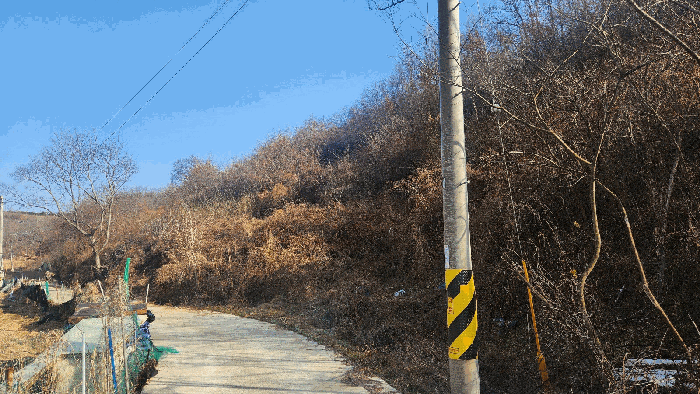 기호(1) 전경