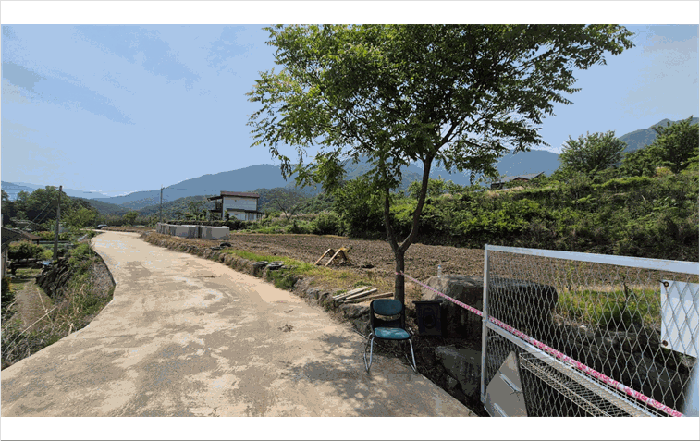 기호(1) 토지 전경(북서측) 및 제시외수목