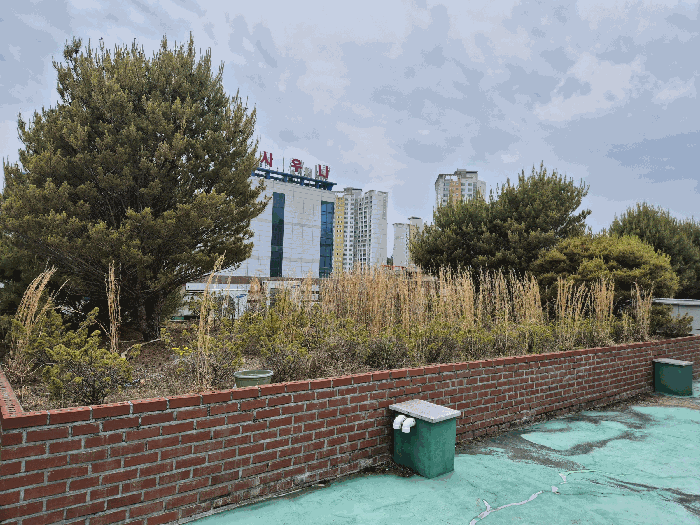 본건 기호(3) 옥상 소재 화단