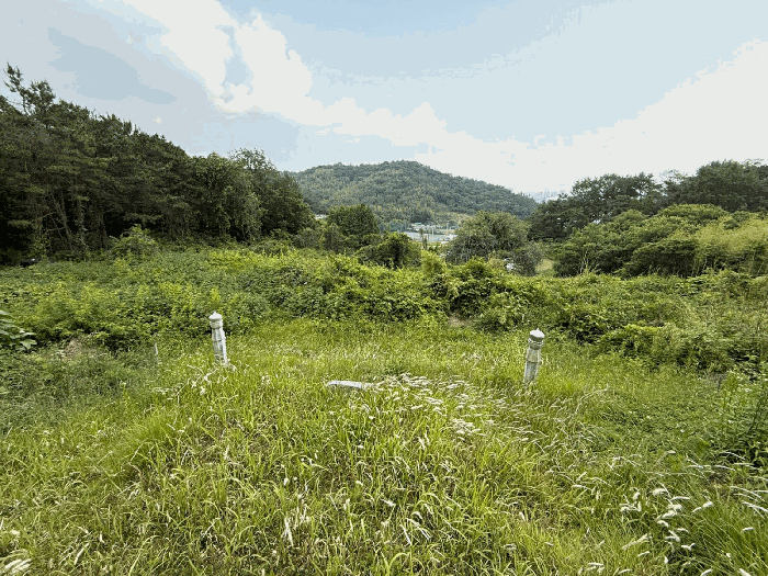 본건 토지 전경