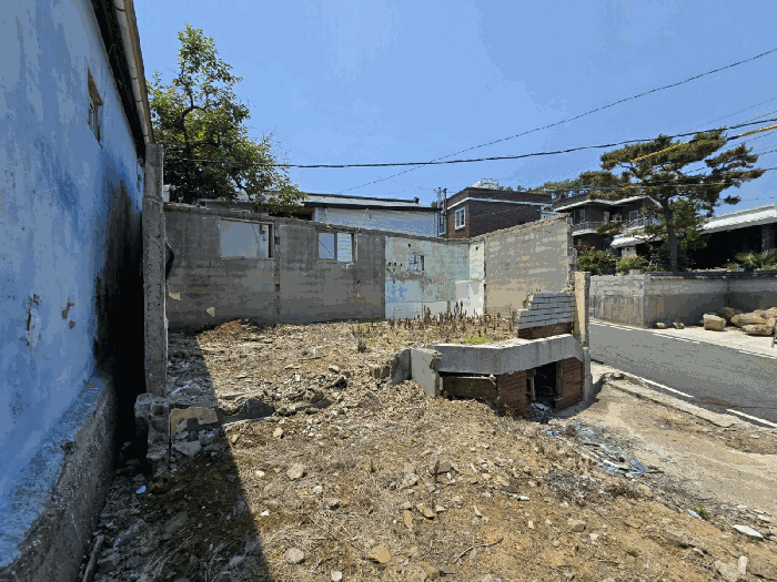 본건 사진(일련번호 1)
