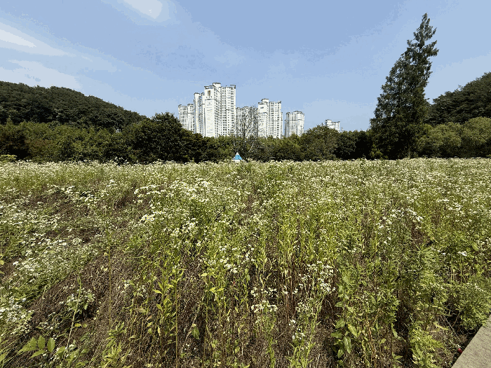 본건 기호(1) 토지 전경