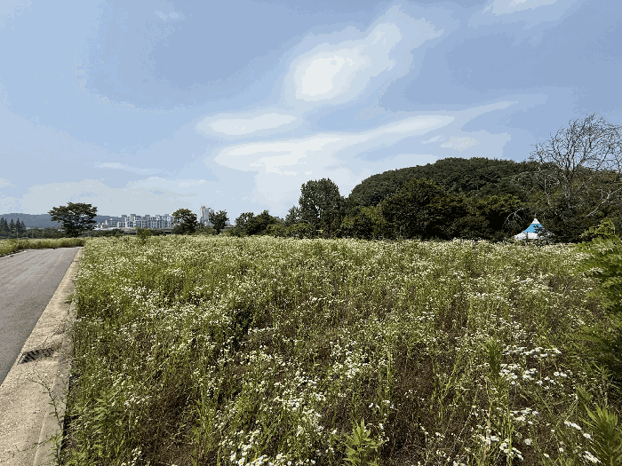 본건 기호(1) 토지 전경