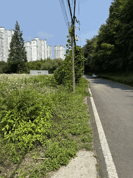 본건 기호(3) 전경