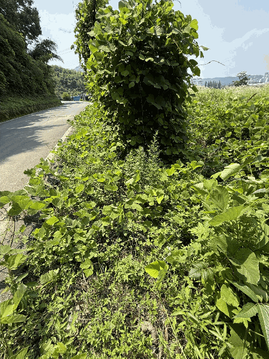 본건 기호(3) 전경