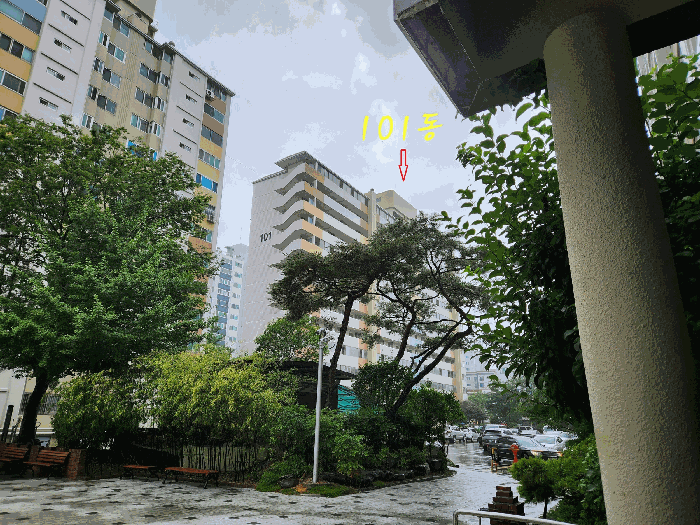 본건이 속한 동의 전경