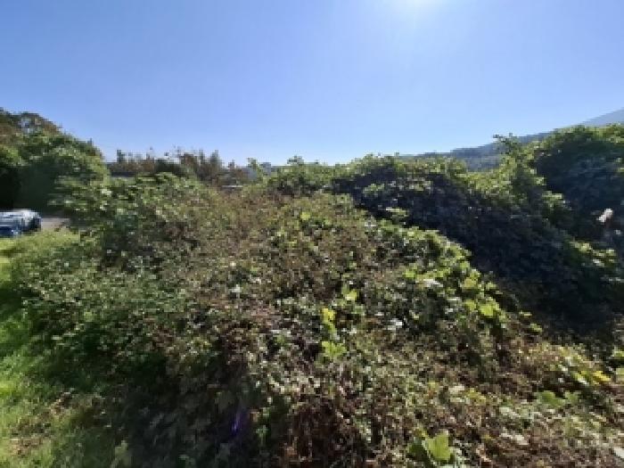 목록번호5.