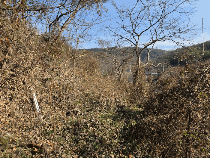본건 사진(일련번호 6)