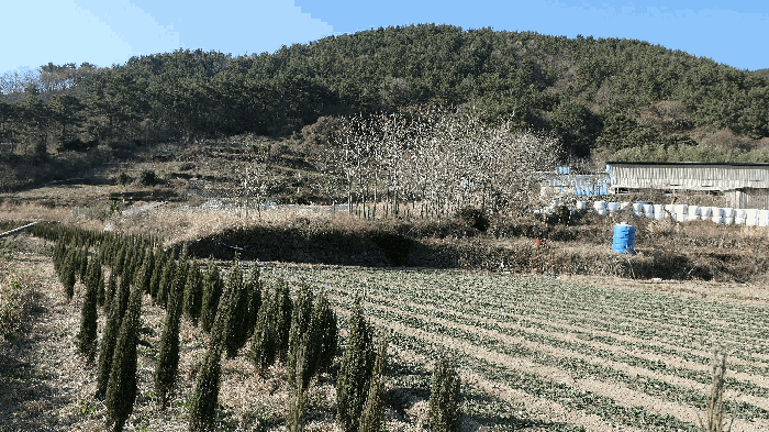 본건전경