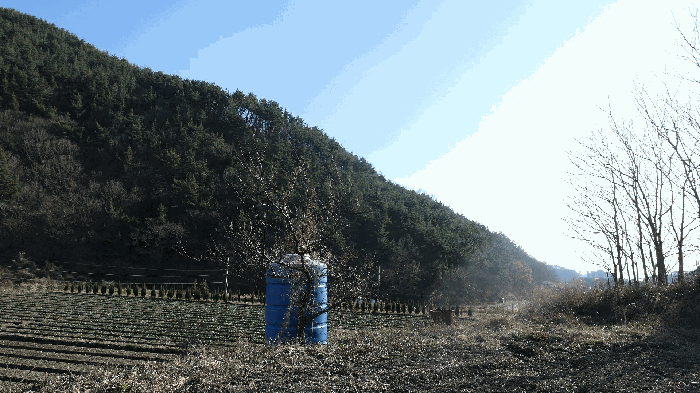본건전경