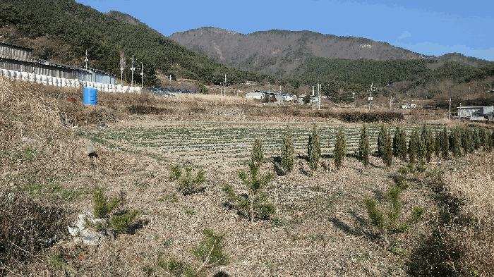 본건전경