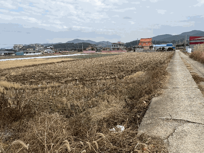 본건 전경