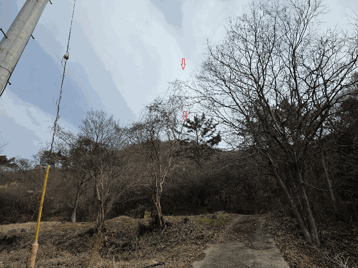 본건
남서측에서 북동측을 향하여 원거리 촬영