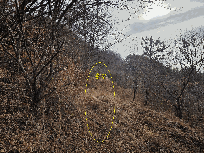 본건의 전경
북서측에서 남동측을 향하여 촬영