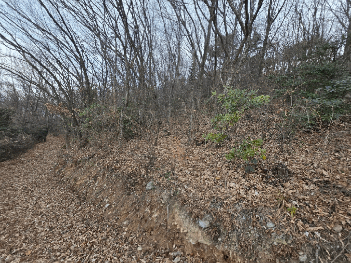본건, 본건 내에서 촬영