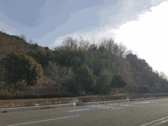 기호(1) 토지 전체 전경