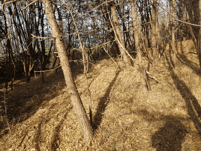 기호(1) 토지 전경