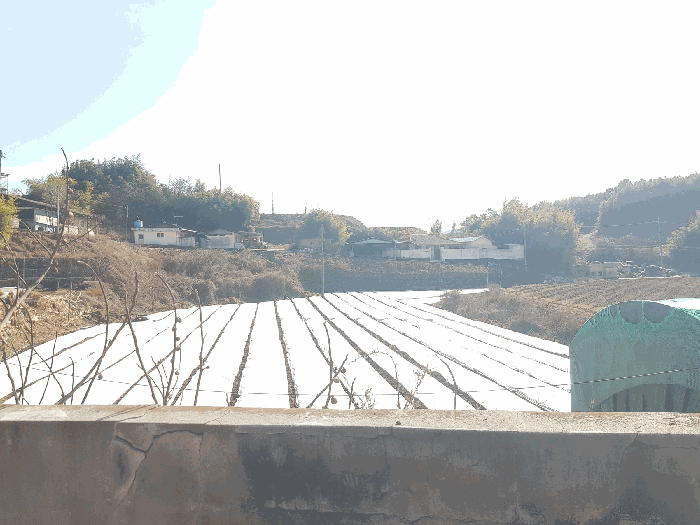 기호(4,5) 토지 전체 전경