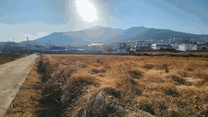 기호(2) 전경