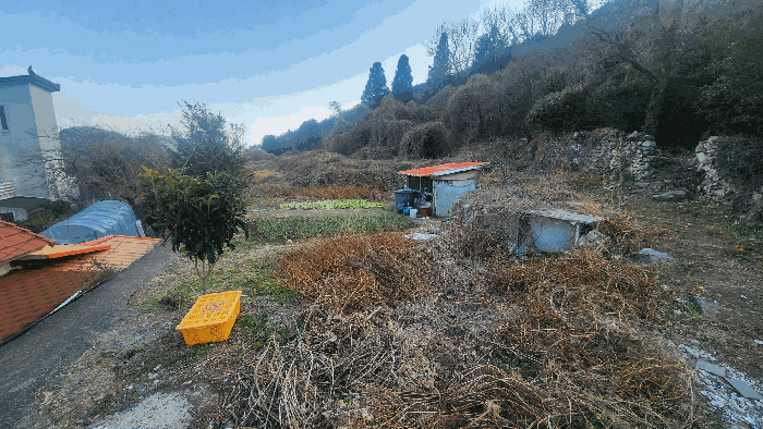 기호(6) 전경