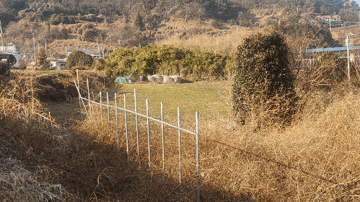기호(3) 전경
