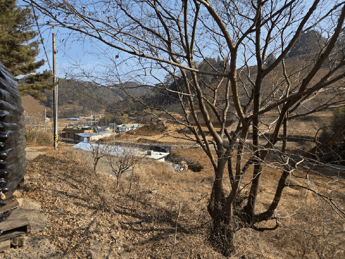 일련번호(4) 전경