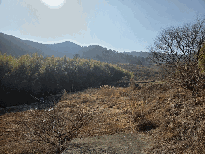 일련번호(2,3) 전경