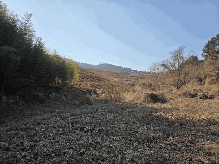 일련번호(1) 전경