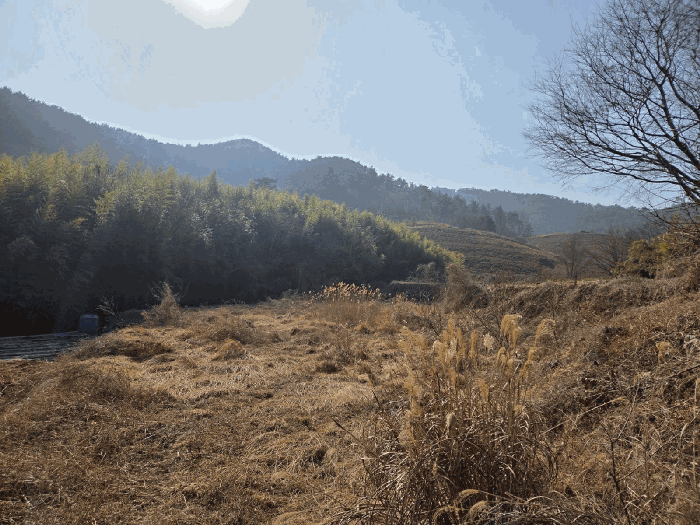 일련번호(2,3) 전경