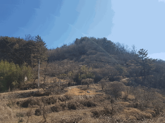 기호(1,2) 토지 전체 전경