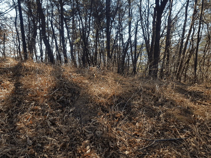 기호(2) 토지 상단부 경계선상 분묘(1기) 전경