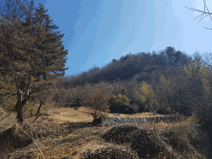 기호(1) 토지 전체 전경