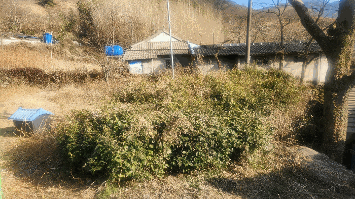 기호(1) 전경