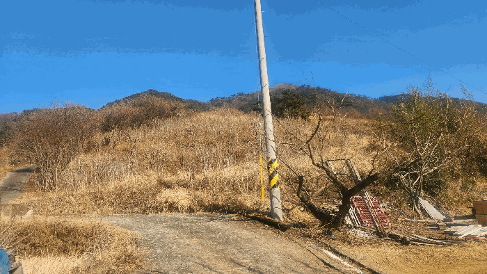 기호(3) 전경, 제시외수목(b)