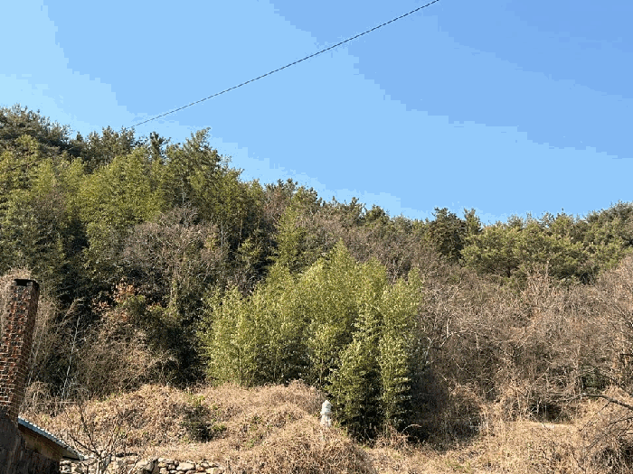 기호 (1) 본건전경