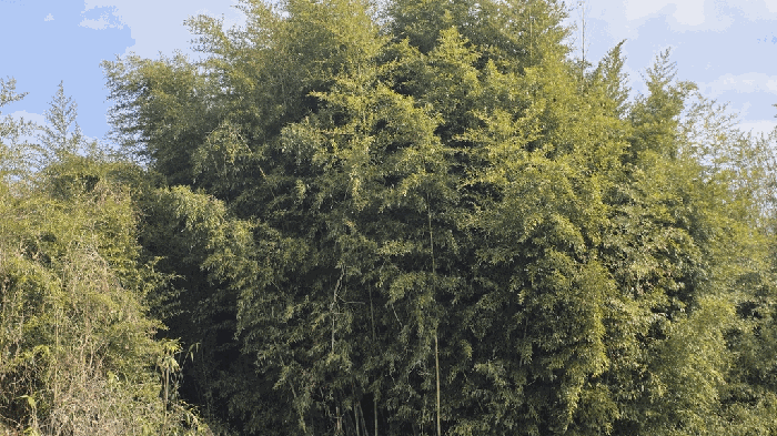 본건 전경