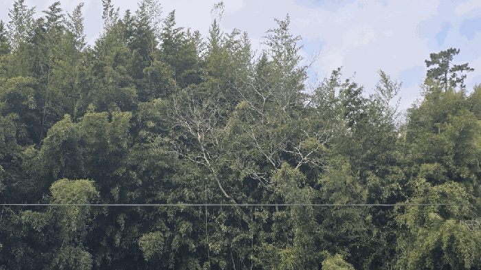 본건 일부 전경